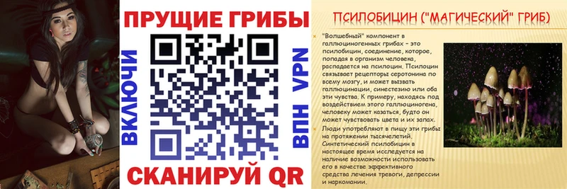 Псилоцибиновые грибы мицелий Воткинск