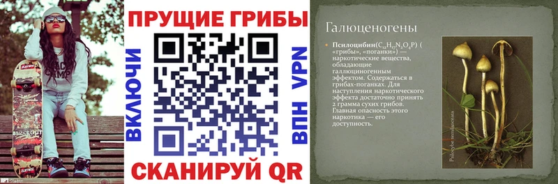 хочу наркоту  маркетплейс как зайти  Псилоцибиновые грибы Psilocybe  Воткинск 