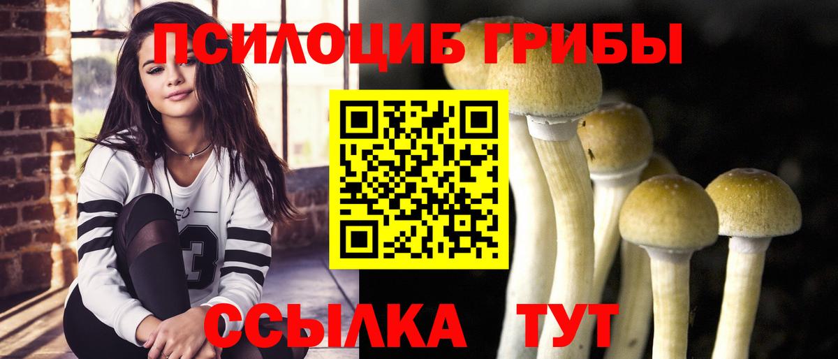Псилоцибиновые грибы Psilocybine cubensis Воткинск