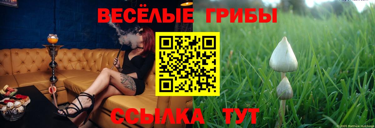 Воткинск  Псилоцибиновые грибы Psilocybine cubensis  Вход с VPN 
